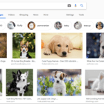 Setting Up Google Images for Language Learning