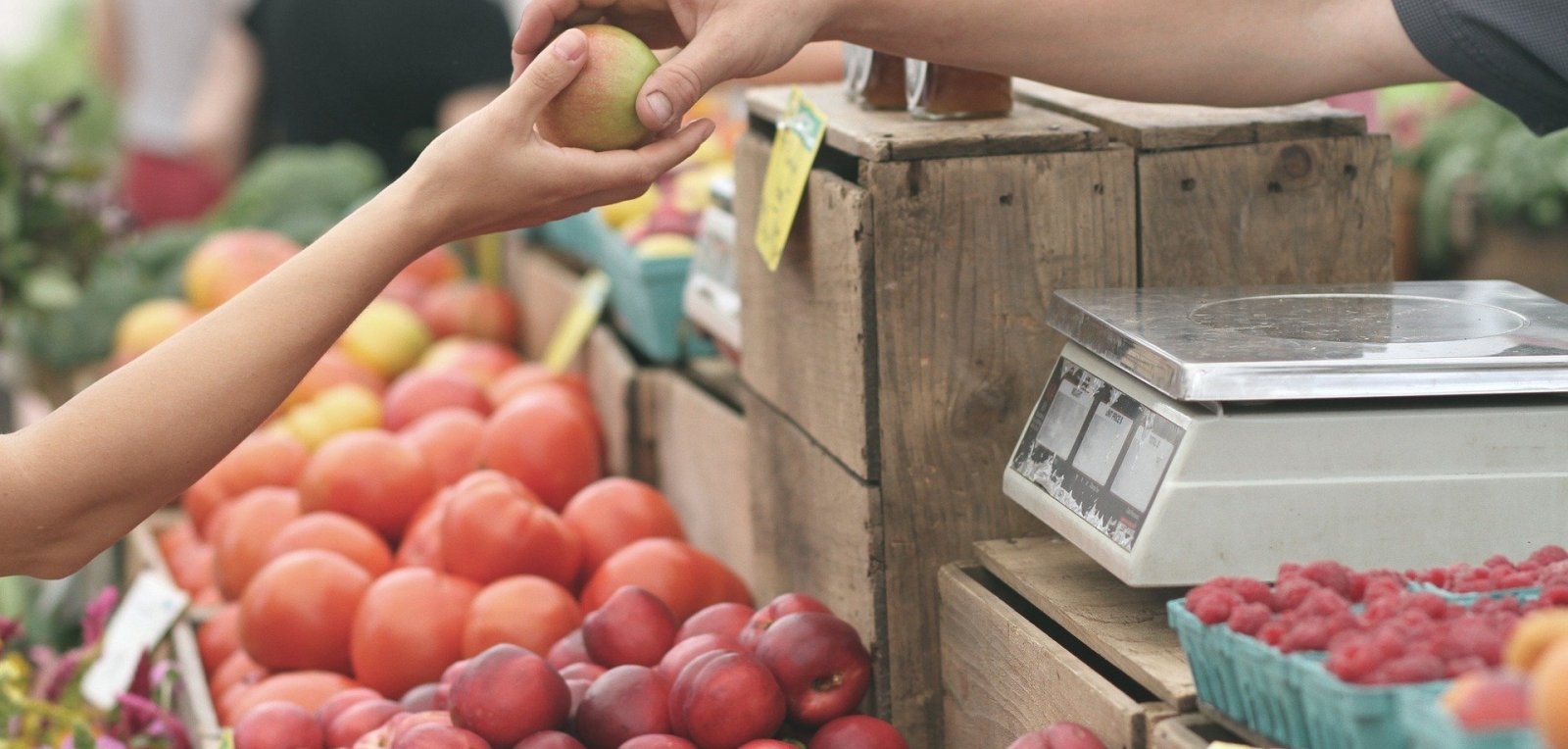 giving an apple