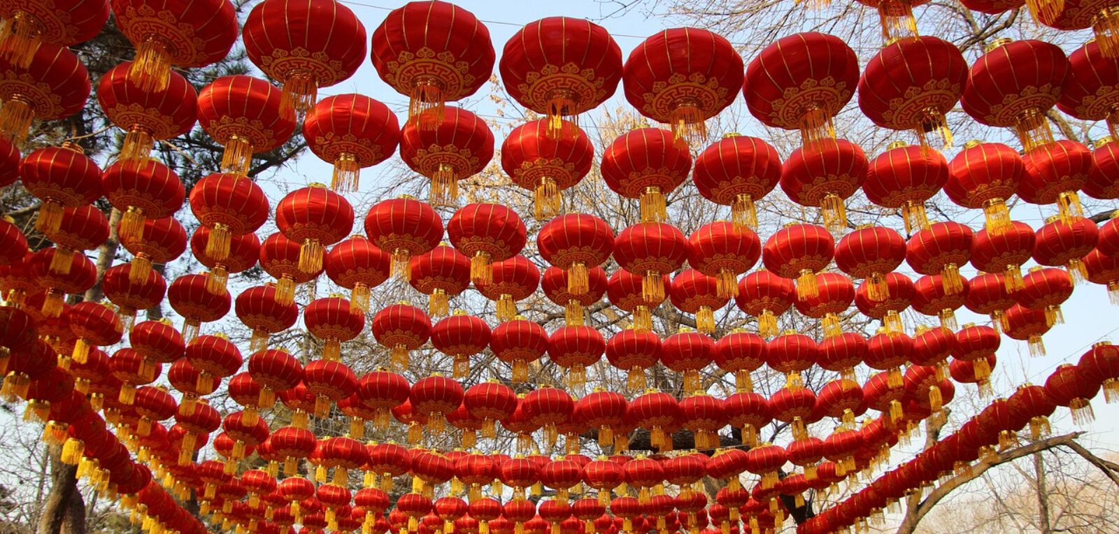 Chinese New Year street lanterns